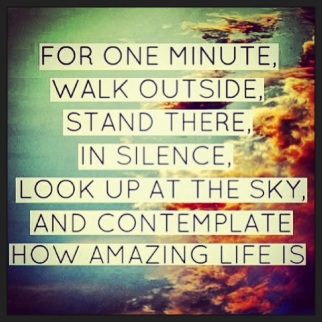 contemplate how amazing life is